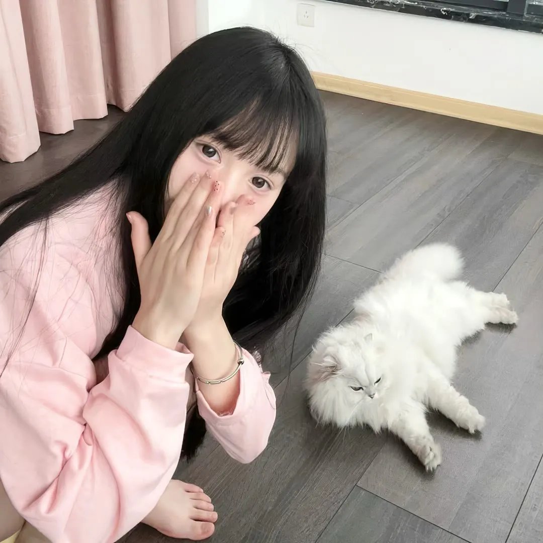 大盗吉普赛
